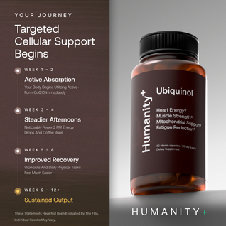 CoQ10 (Ubiquinol)